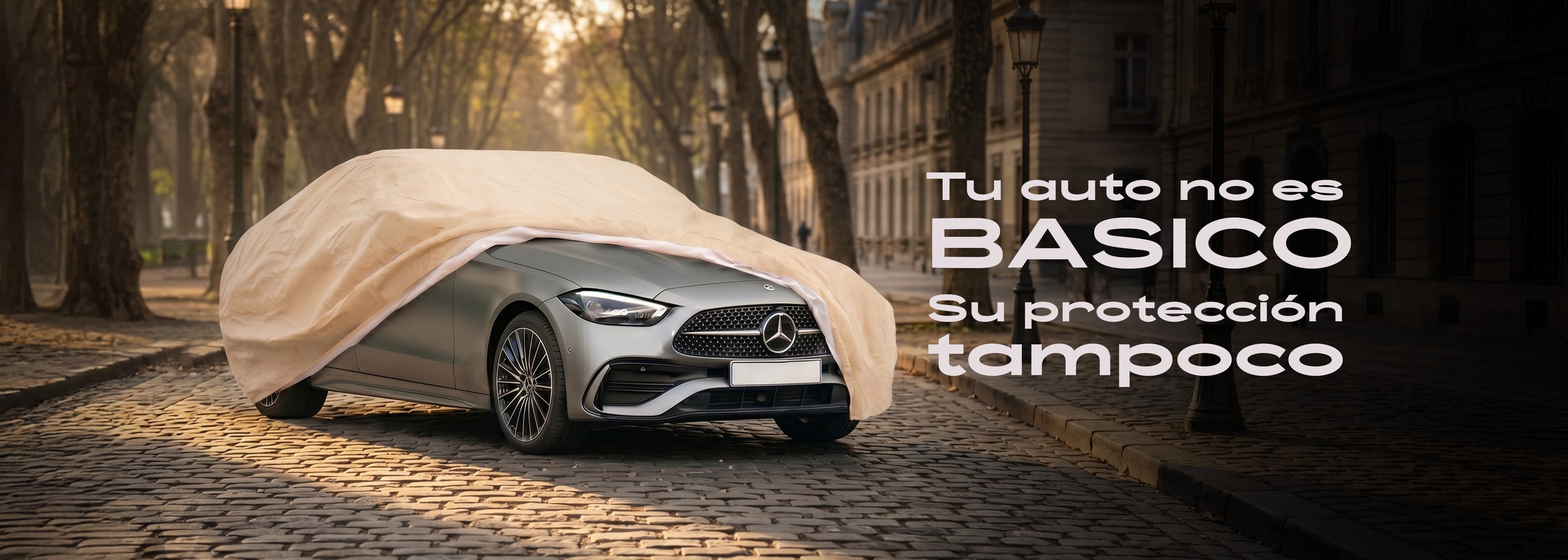 Wagen Covers Chile