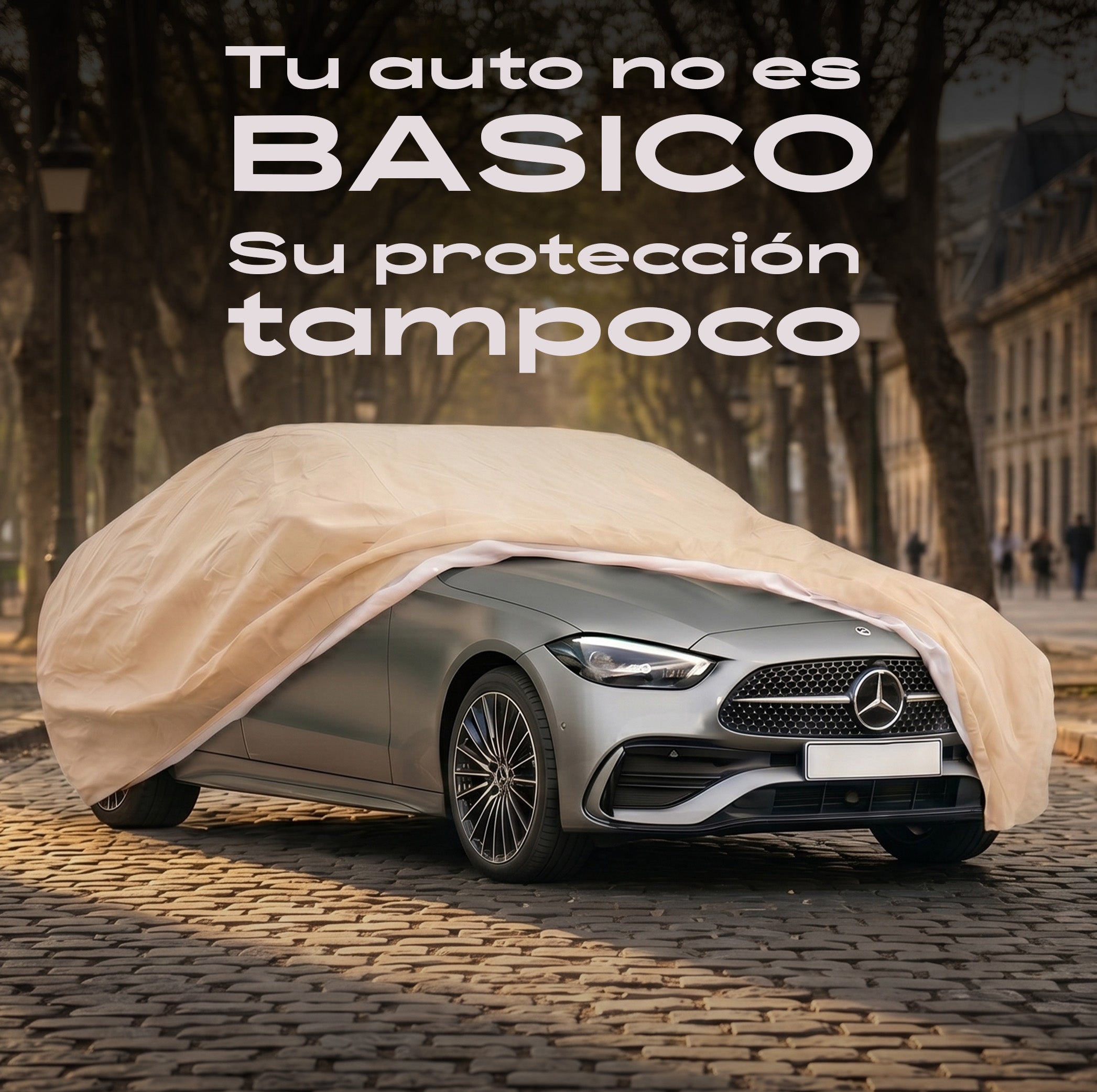 Wagen Covers Chile