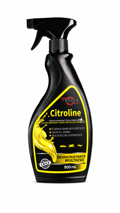 Kit Limpieza Completo - Full Lavado Profesional | REVIVE
